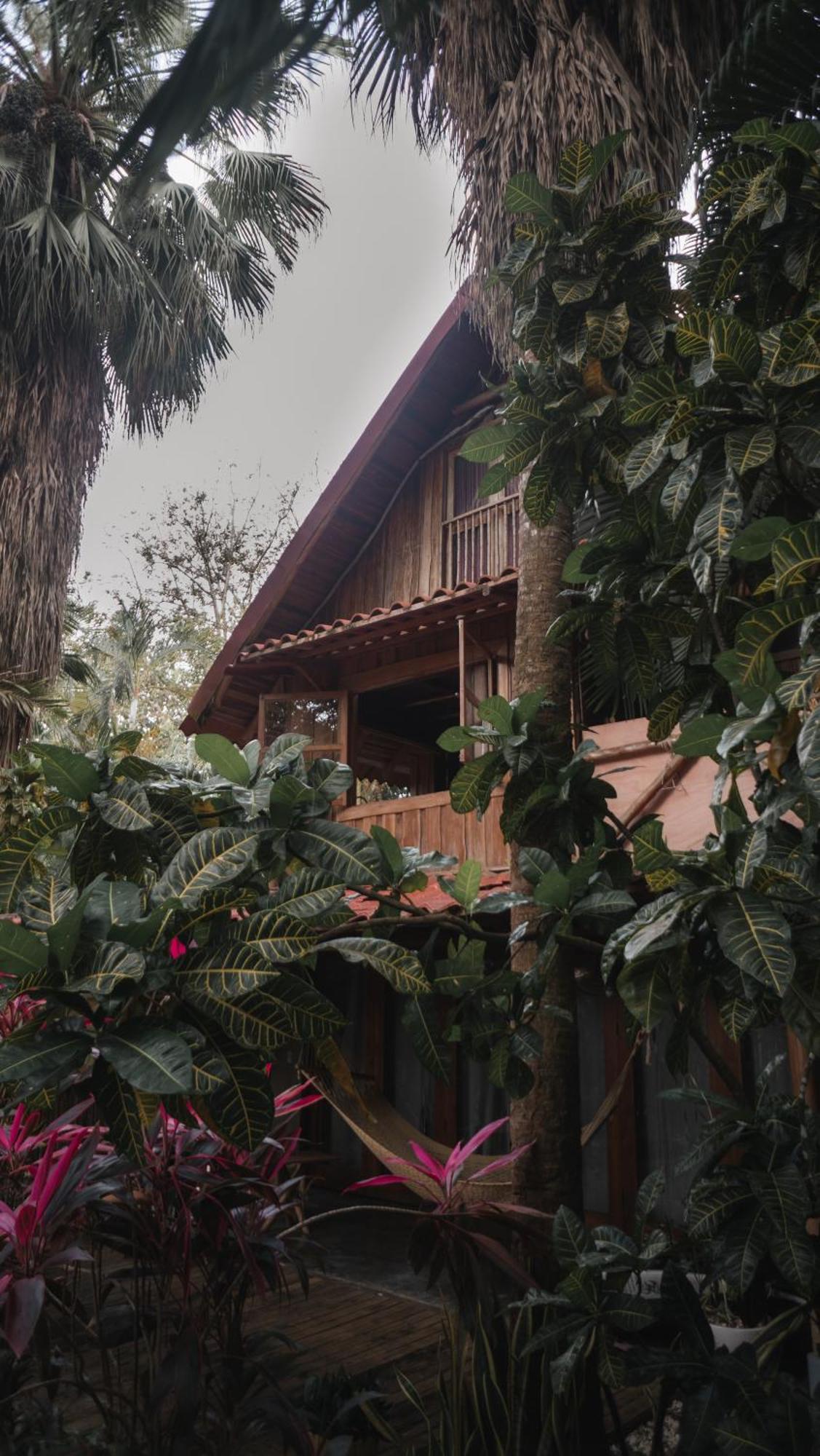 Griss Lodge & Spa Playa Santa Teresa  Eksteriør billede
