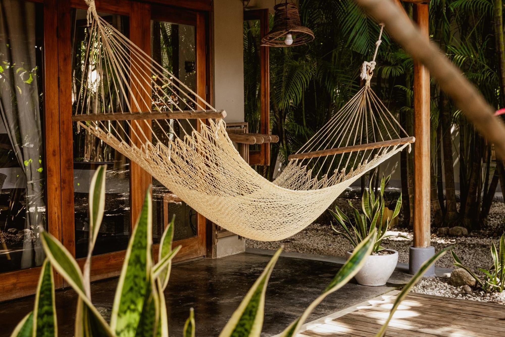 Griss Lodge & Spa Playa Santa Teresa  Eksteriør billede