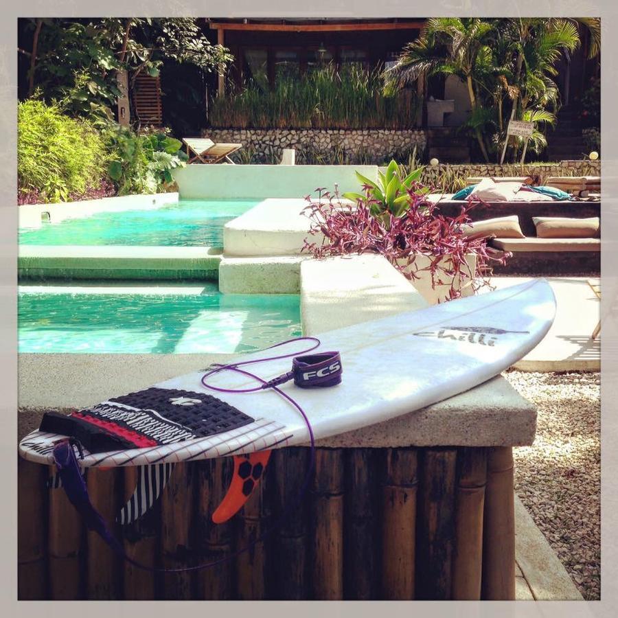 Griss Lodge & Spa Playa Santa Teresa  Eksteriør billede